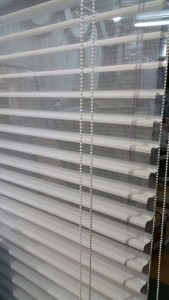 Foto 04-12-15 16 16 17